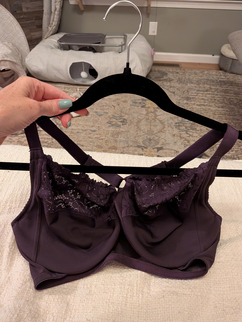 Lace-Trim Underwire Bra in Plum